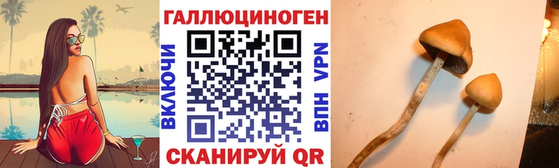 Галлюциногенные грибы GOLDEN TEACHER  купить наркотики цена  KRAKEN   Буинск 